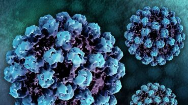 Вспышка норовируса в Германии: новый агрессивный штамм GII.17 спровоцировал резкий рост заболеваемости